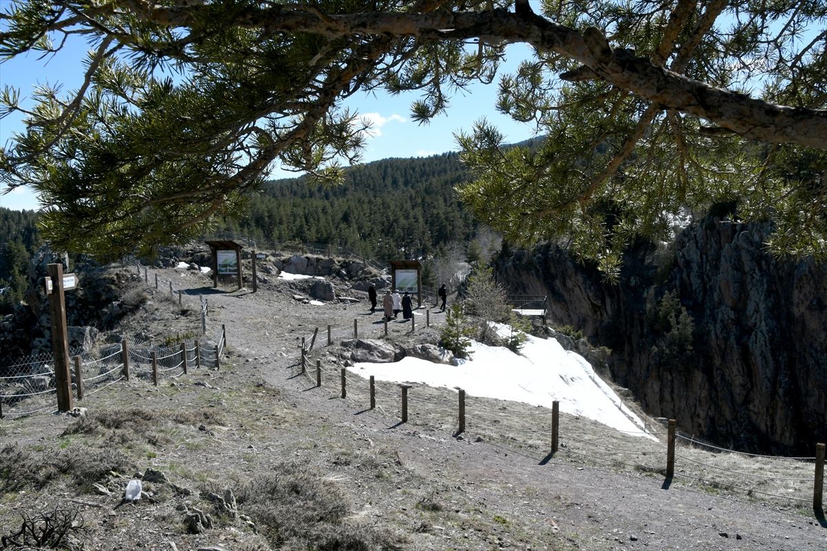 Kars'ın bazı bölgelerinde doğa canlanmaya başladı