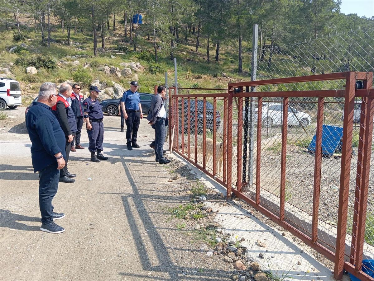 Bozyazı Kaymakamı Tuncay Topsakaloğlu hayvan barınağını inceledi