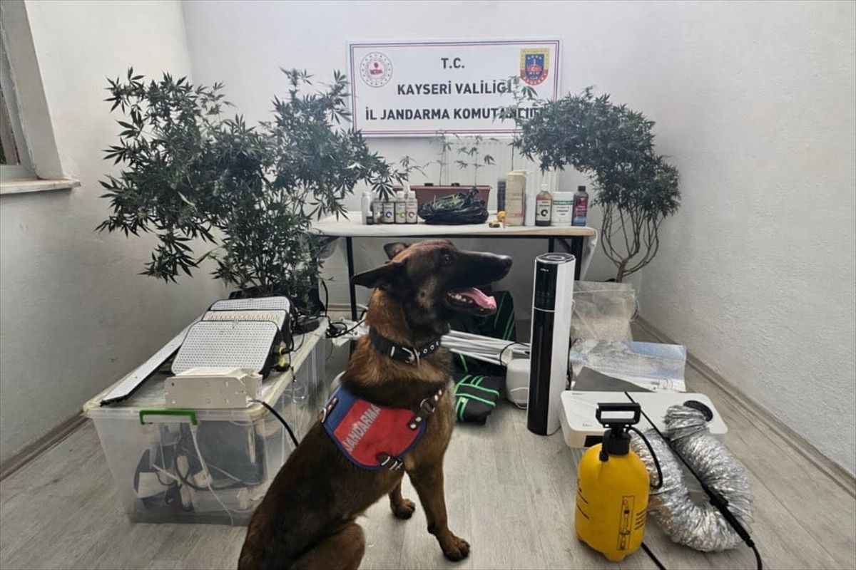 Kayseri'deki uyuşturucu operasyonunda 1 şüpheli yakalandı