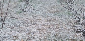Elazığ'da Nisan Karı Üreticileri Endişelendirdi