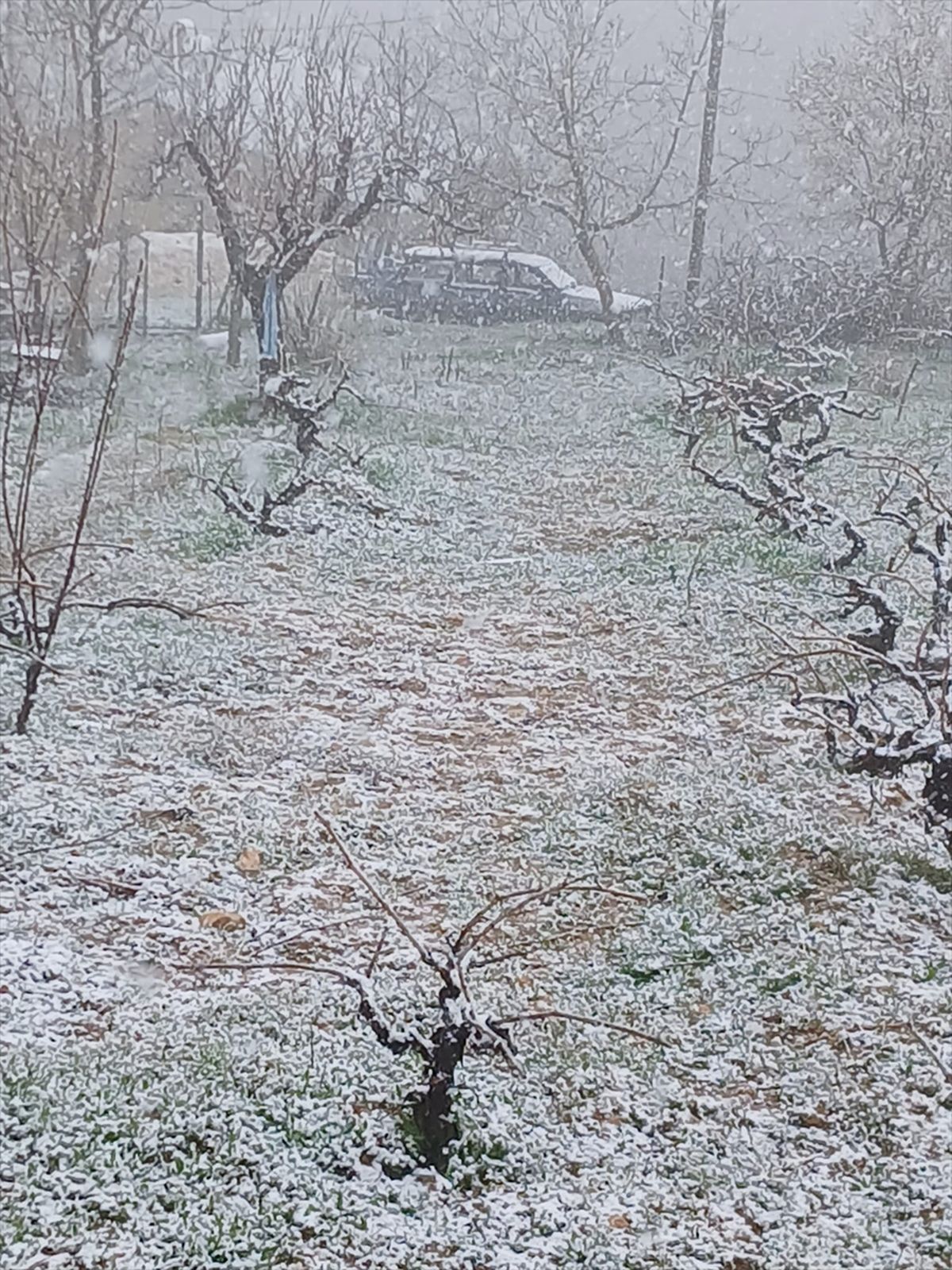 Elazığ'da Nisan Karı Üreticileri Endişelendirdi