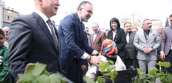 Kestel'de çiftçiye kaliteli ahududu üretmesi için 6 bin fidan dağıtıldı