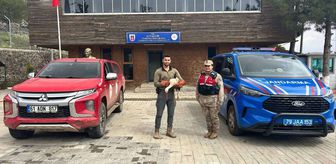 Kilis'te yaralı halde bulunan leylek tedavi altına alındı