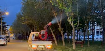 Kırklareli'nde haşere ve sineklere karşı ilaçlama