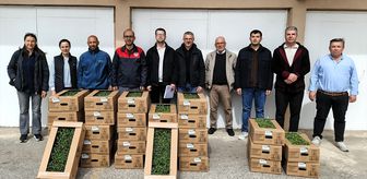 Kırklareli'nde üreticilere domates fidesi dağıtıldı