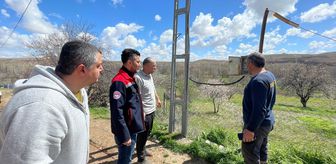 Kırşehir'de elektrik akımına kapılan 4 küçükbaş hayvan telef oldu