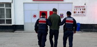 Kırşehir'de sahipsiz köpeği tüfekle öldüren zanlı tutuklandı