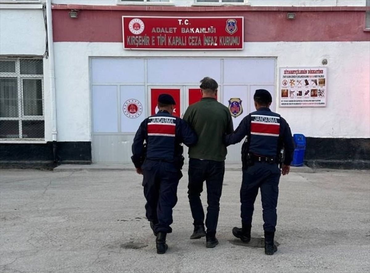 Kırşehir'de sahipsiz köpeği tüfekle öldüren zanlı tutuklandı