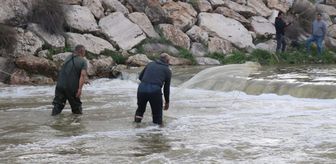 Kuraklıktan etkilenen Kufi Çayı'nın su seviyesi son yağışlarla yükseldi