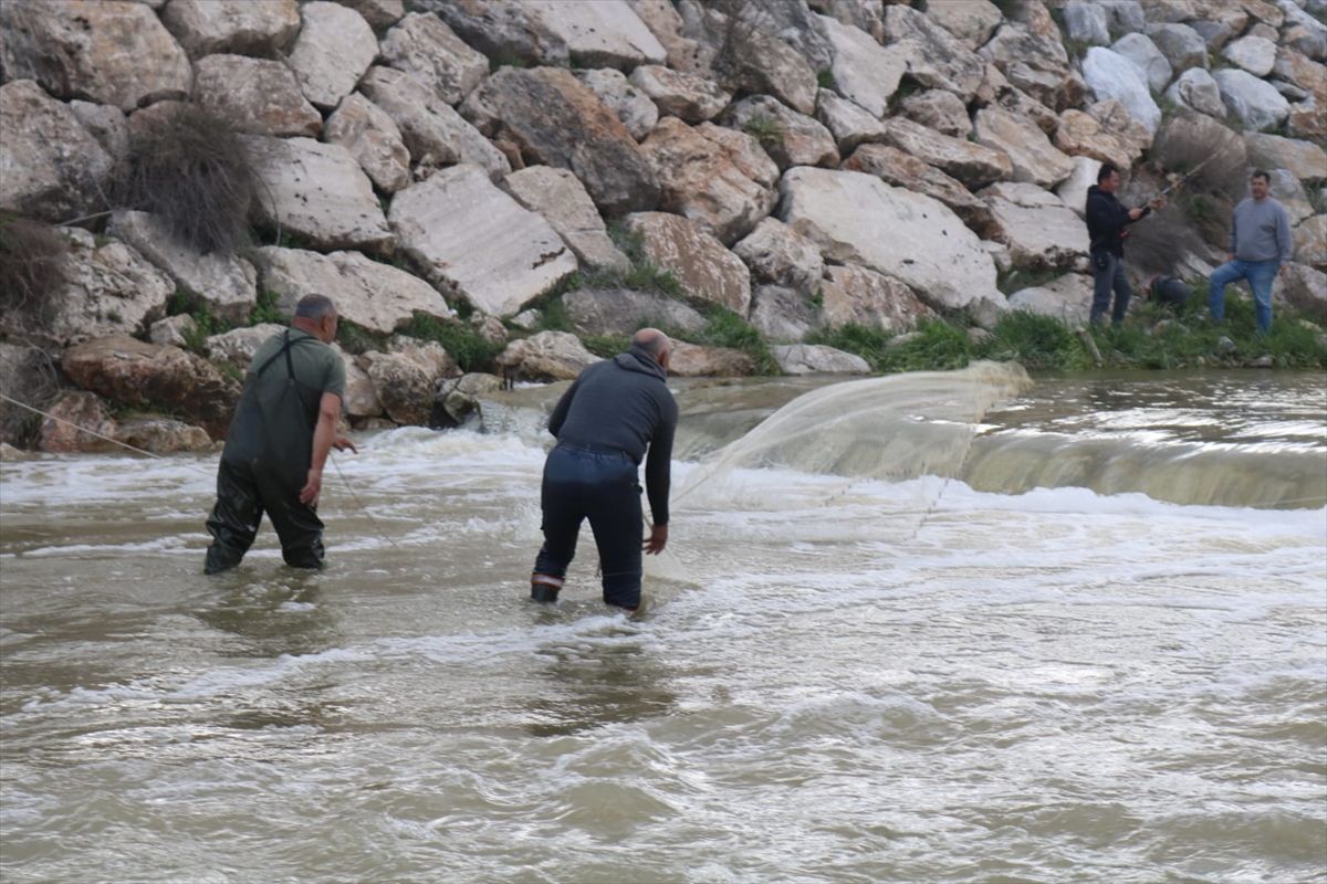 Kuraklıktan etkilenen Kufi Çayı'nın su seviyesi son yağışlarla yükseldi