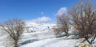 Malatya'da kar etkili oldu