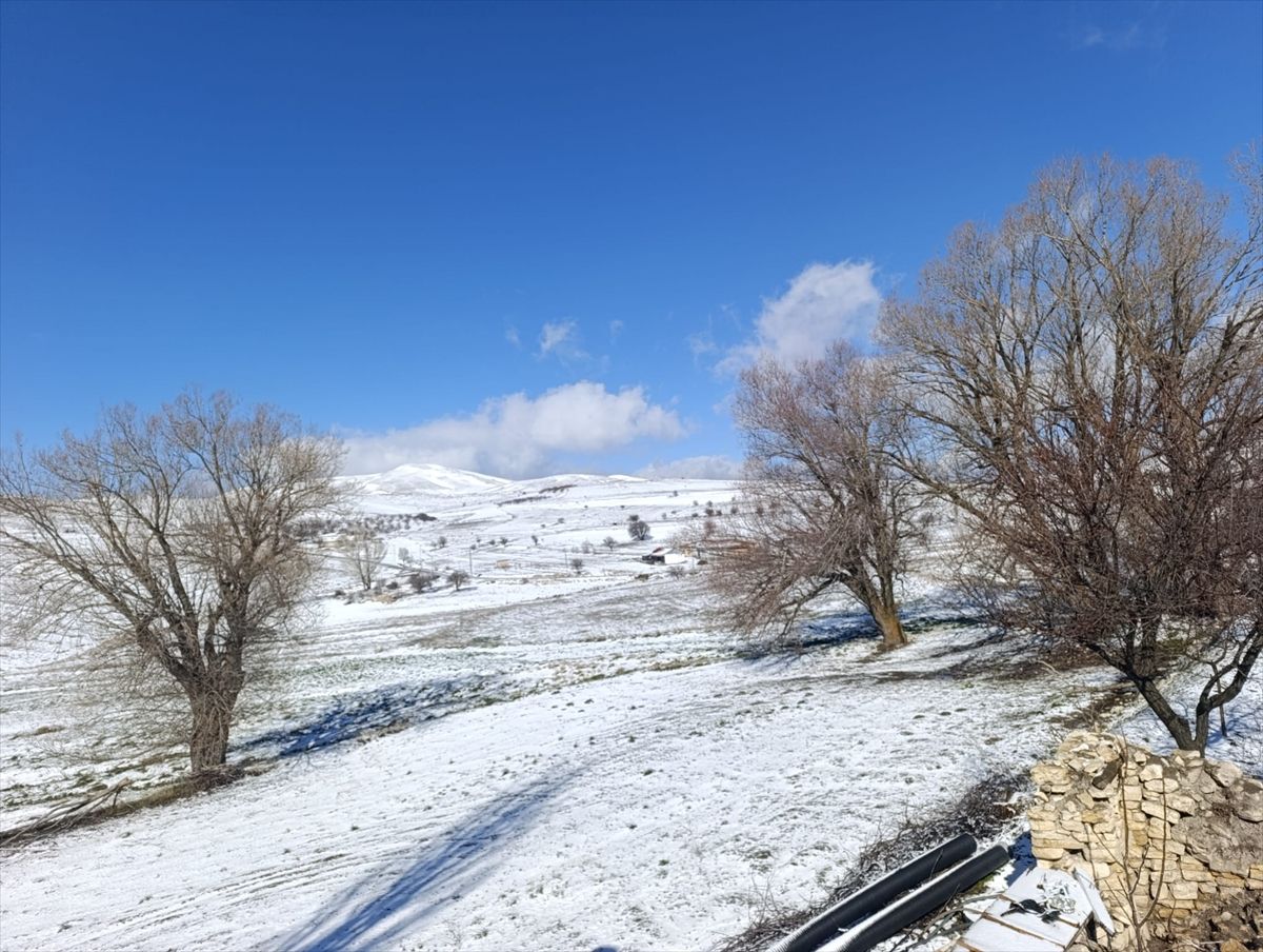 Malatya'da kar etkili oldu