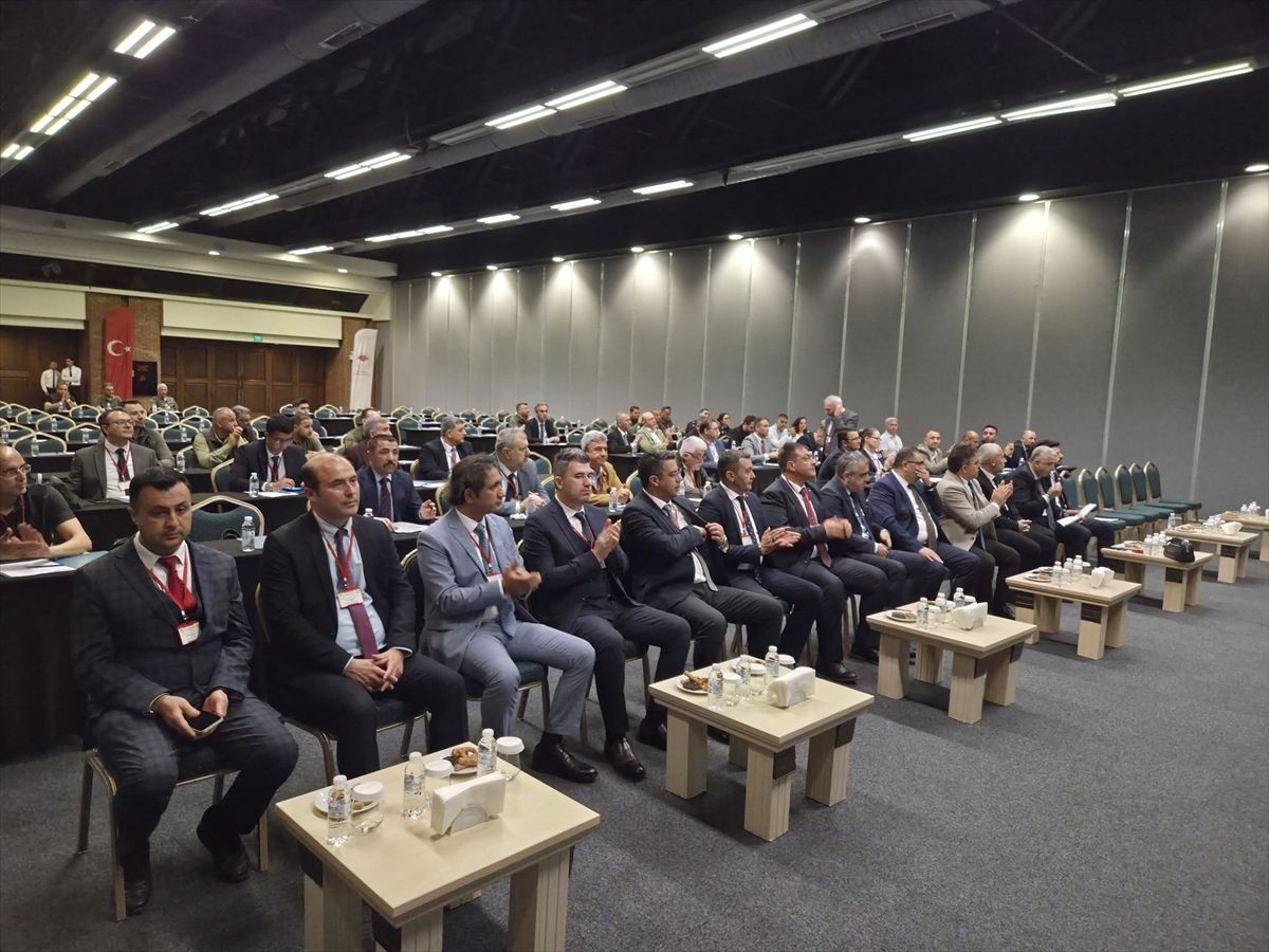 Marmaris'te yaban domuzu kaynaklı riskler ve çözüm yolları çalıştayda ele alındı