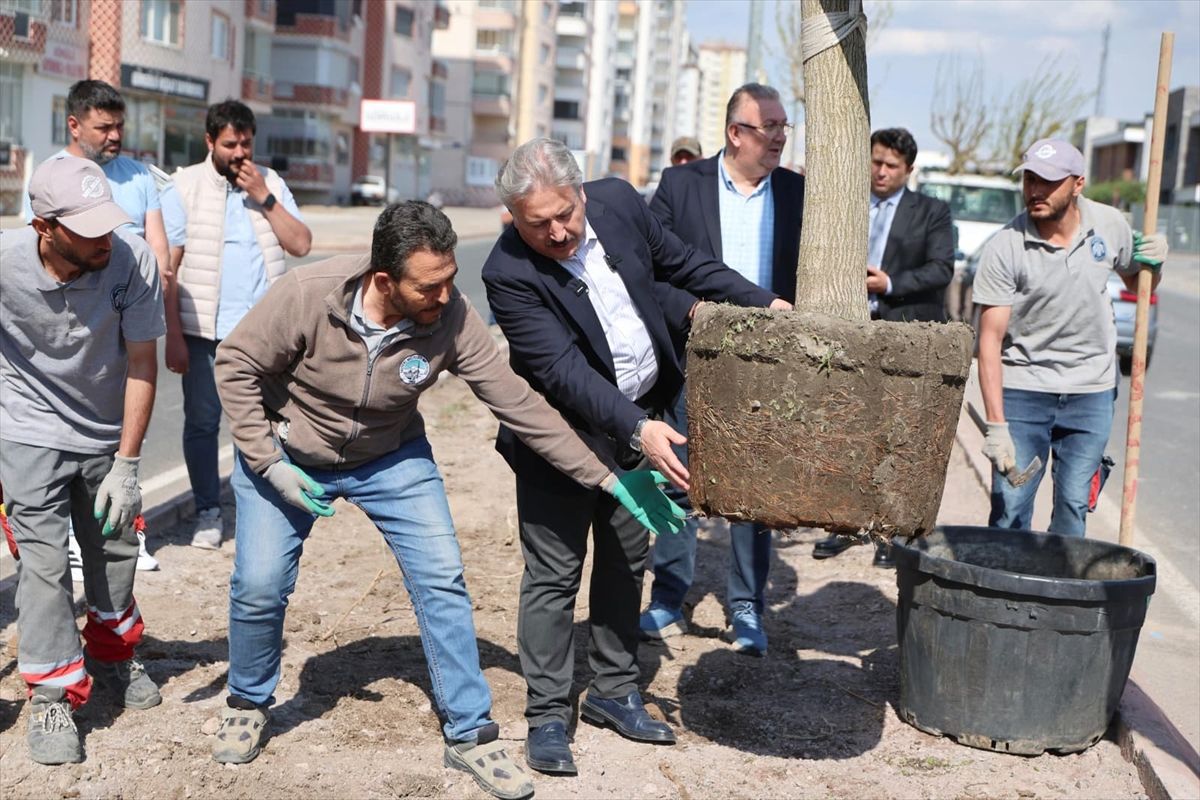 Melikgazi Belediye Başkanı Palancıoğlu, İldem bölgesinde ağaç dikimi gerçekleştirdi