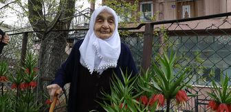 Memleket özlemini göç yolunda annesinin sandığında getirdiği ters lale soğanının açan çiçekleriyle dindiriyor