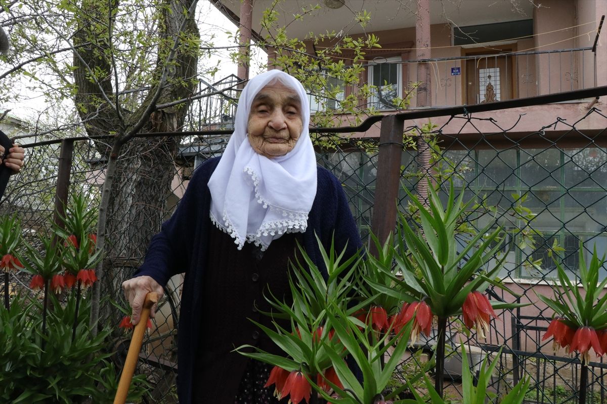 95 yaşındaki göçmen, memleket özlemini ters lalelerle dindiriyor