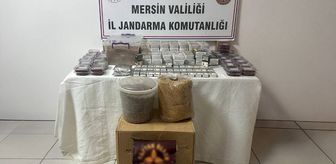 Mersin'de 36 bin 300 kaçak makaron ele geçirildi