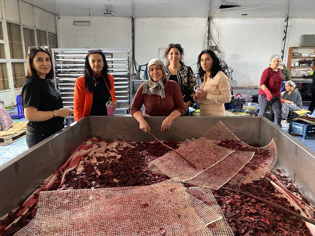 Mersin'de kaymakam eşlerinden kadınlara ziyaret