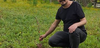 Mut'ta hastane bahçesine 150 zeytin fidanı dikildi