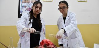 Osmaneli'de 'Çocuk Kimya Şenliği' düzenlendi