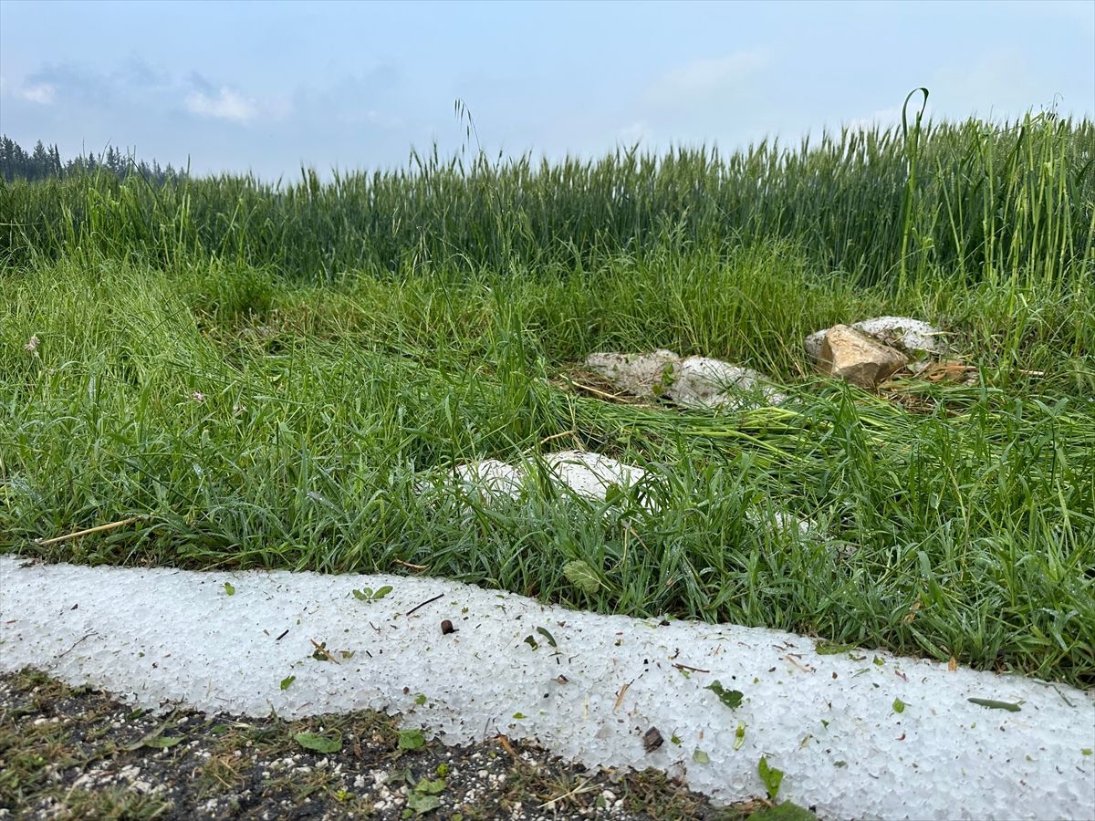 Osmaniye'de dolu ekili tarım alanlarına zarar verdi