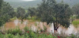 Osmaniye'de sağanak tarım arazilerine zarar verdi