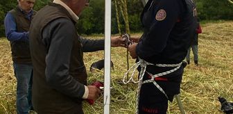 Osmaniye'de su kuyusuna düşen tilkiyi itfaiye ekibi çıkardı