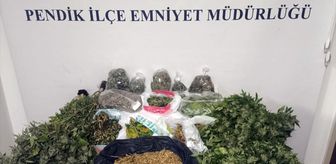 Pendik'te uyuşturucu operasyonunda yakalanan 2 şüpheli tutuklandı