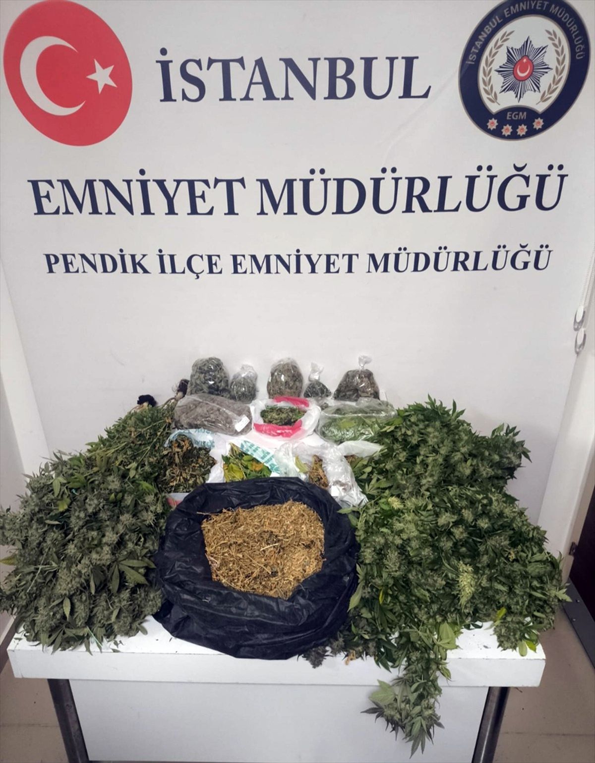 Pendik'te uyuşturucu operasyonunda yakalanan 2 şüpheli tutuklandı