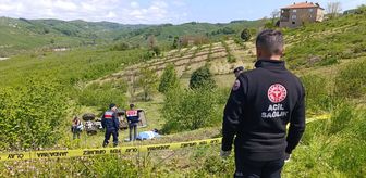 Sakarya'da devrilen traktörün sürücüsü yaşamını yitirdi