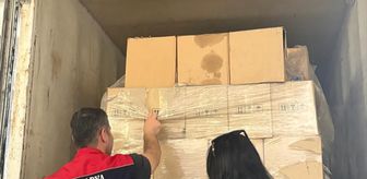 Sakarya'da gıda denetimleri yapıldı