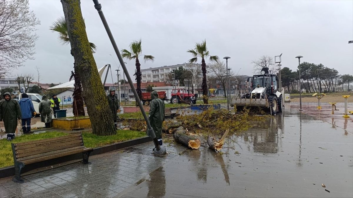 Sakarya'da şiddetli rüzgarda devrilen ağaç sahildeki parka zarar verdi
