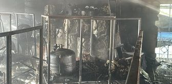 Samsun'da halı yıkama atölyesinde çıkan yangın hasara neden oldu