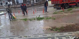 Sandıklı'da kar ağırlığına dayanamayan ağaçlar devrildi