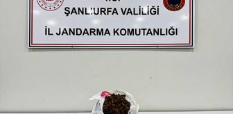 Şanlıurfa'da araçta 1 kilogram uyuşturucuyla yakalanan 2 şüpheli gözaltına alındı