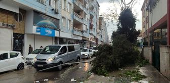 Şanlıurfa'da fırtınada üzerine elektrik direği devrilen otomobildeki 2 kişi yaralandı