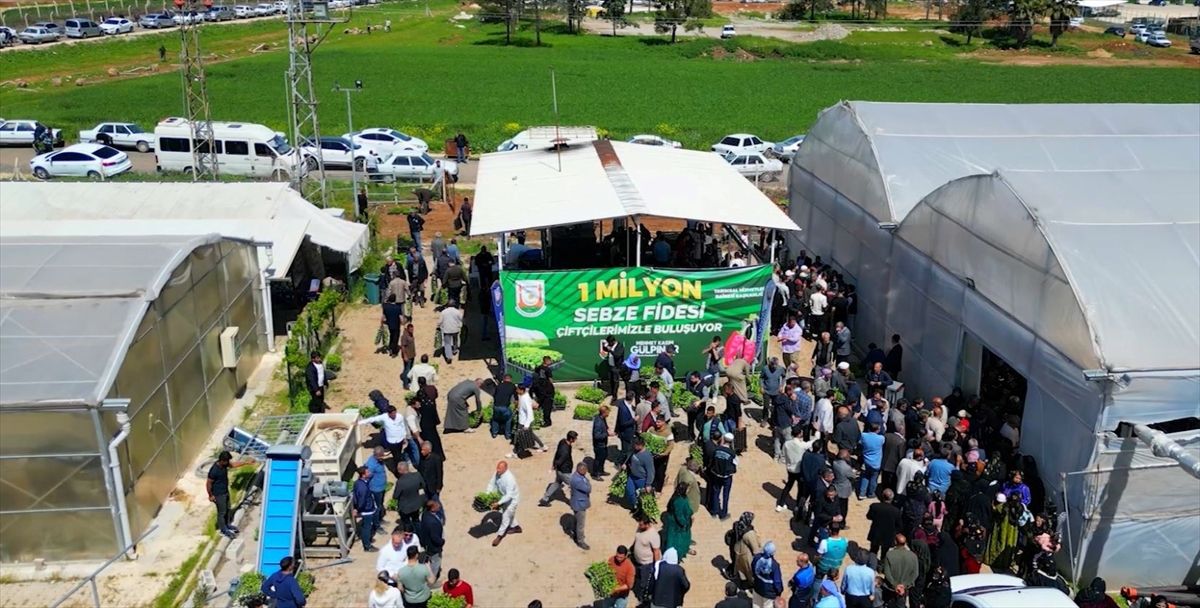 Şanlıurfa'da üreticilere 1 milyon sebze fidesi dağıtıldı