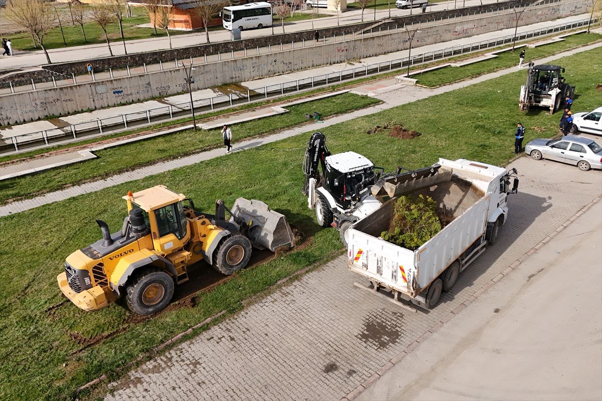 Şarkışla Belediyesi otopark çalışması başlattı