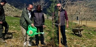 Sason'da şehitler anısına fidan dikildi