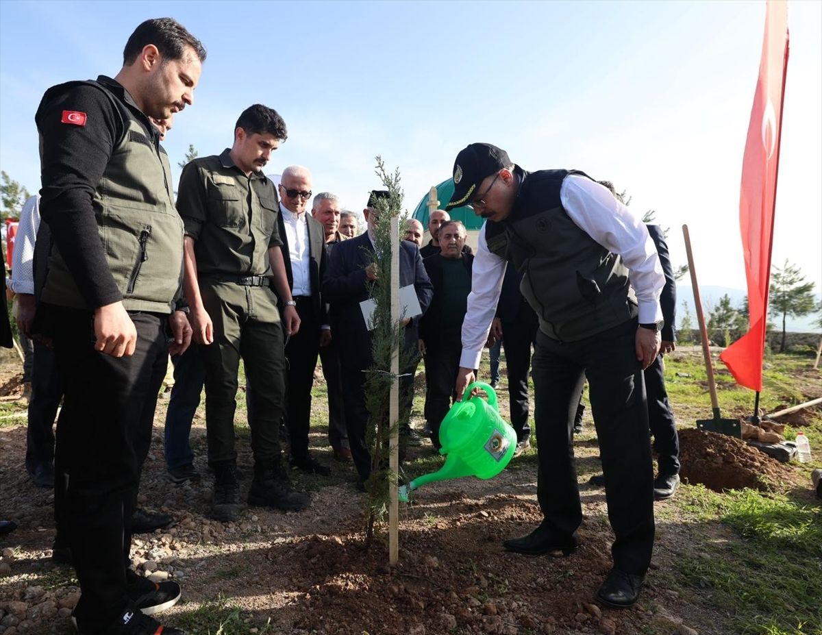 Siirt'te 1000 fidan toprakla buluşturuldu