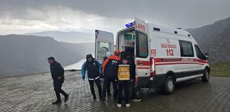 Siirt'te kayalıklardan düşerek yaralanan kişi kurtarıldı