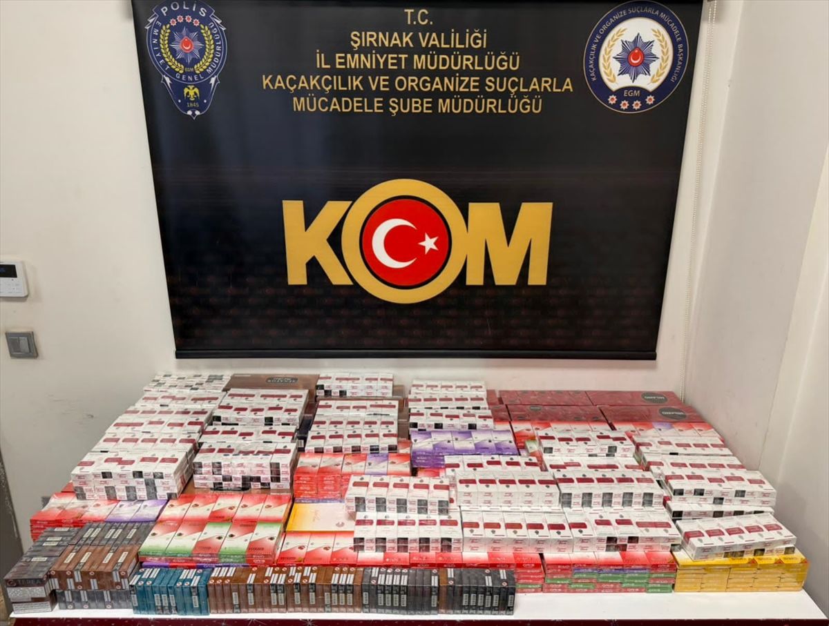 Şırnak'ta kaçakçılık ve asayiş operasyonlarında 2 zanlı tutuklandı