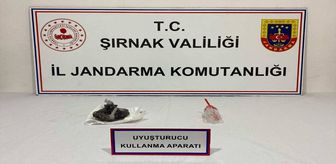 Şırnak'ta kaçakçılık ve asayiş operasyonlarında 109 kişiye adli işlem uygulandı