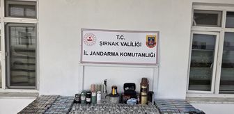 Şırnak'ta kaçakçılık ve asayiş operasyonlarında 1 kişi tutuklandı