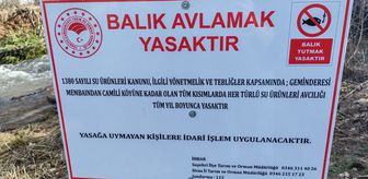 Sivas'ta Geminbeli mevkisinde balık avı yasaklandı