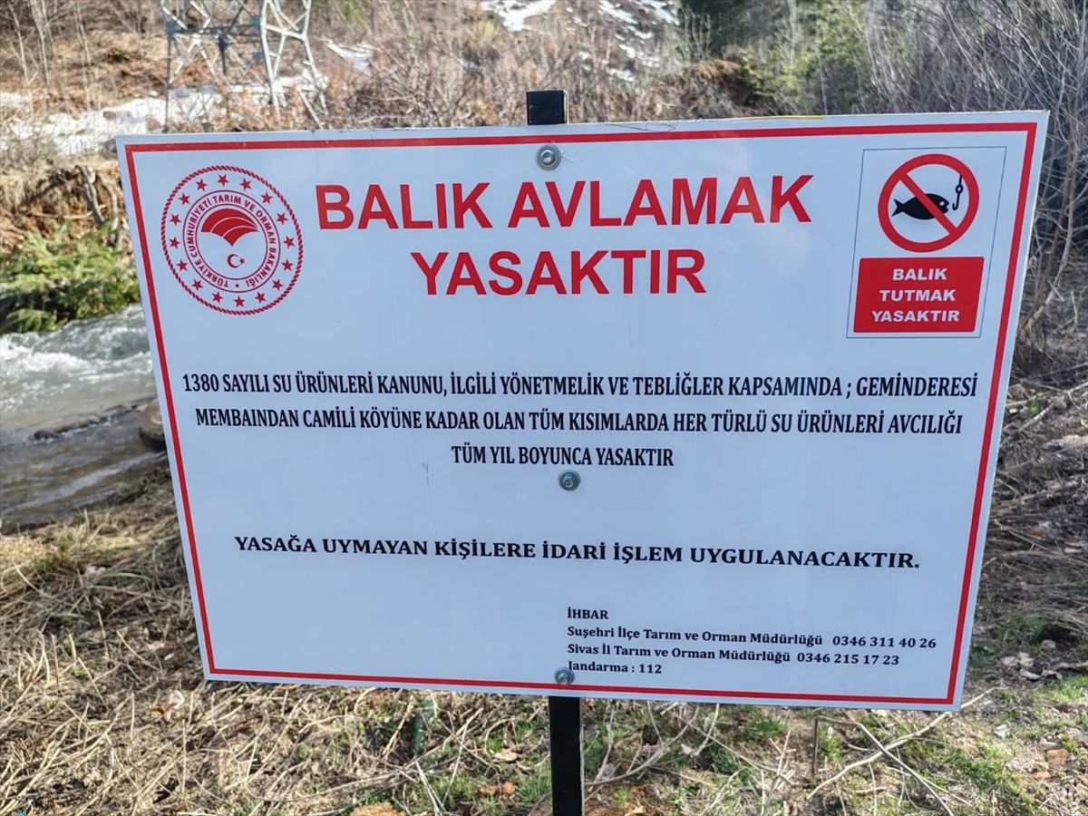 Sivas'ta Geminbeli mevkisinde balık avı yasaklandı