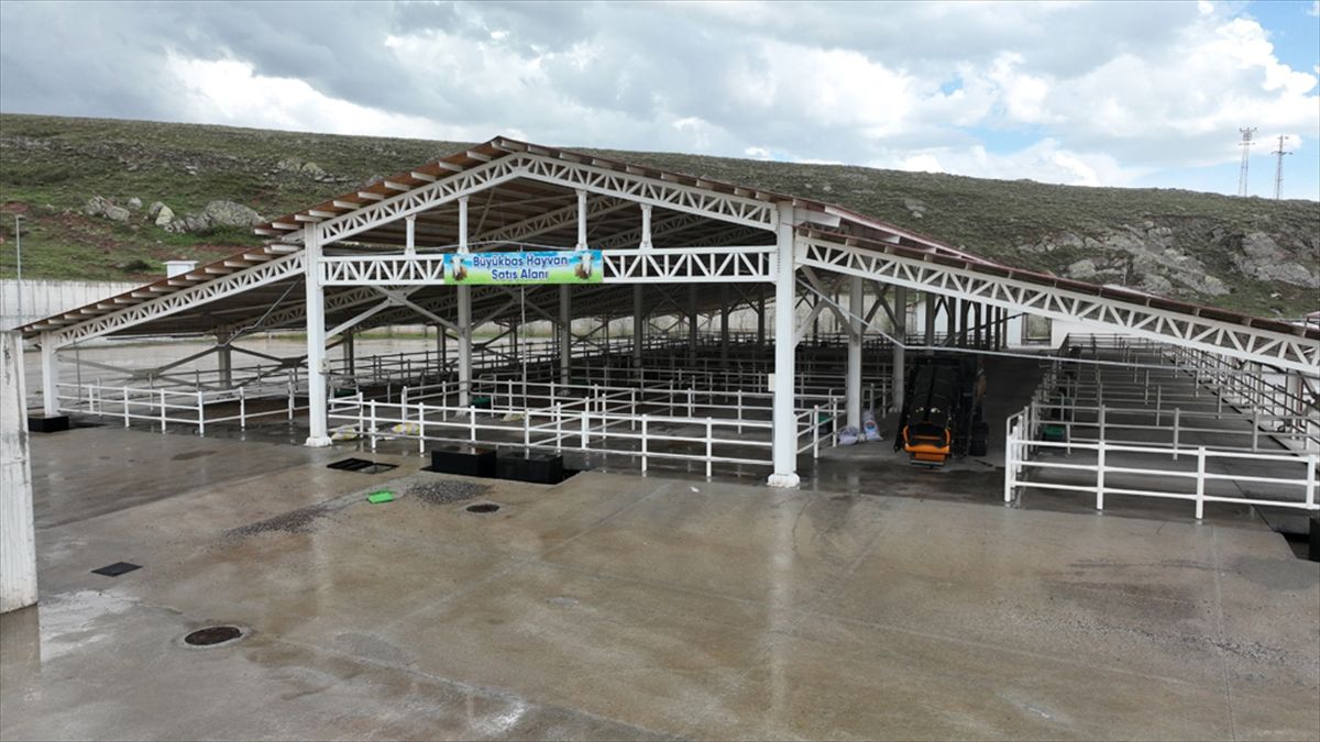 Sivas'ta kurban pazarı 12 Mayıs'ta açılacak