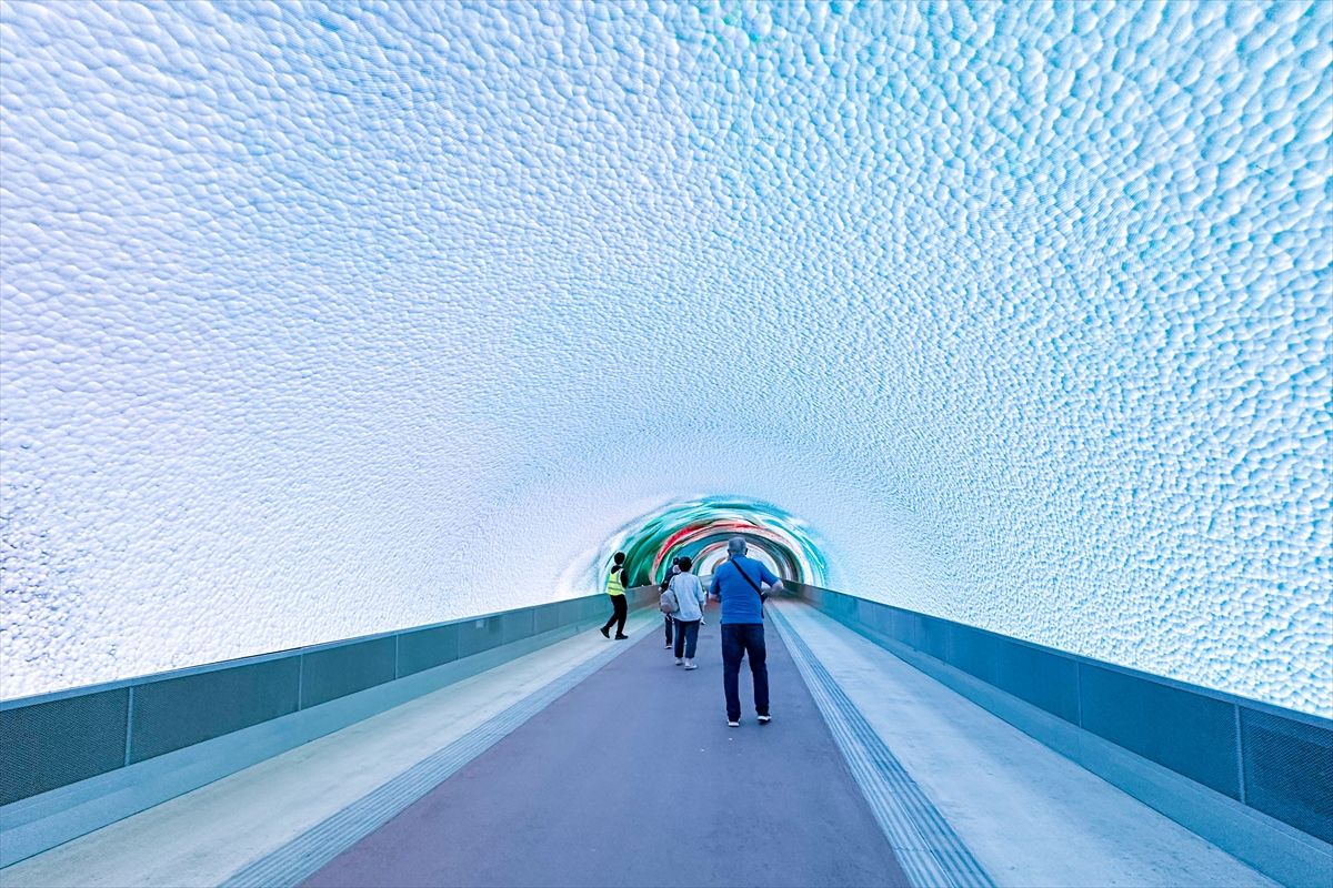 Slovenya'da bir dönem trafiğe açık olan tünelde dijital sergi açıldı
