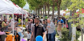Söke'de Priene Kültür Festivali başladı