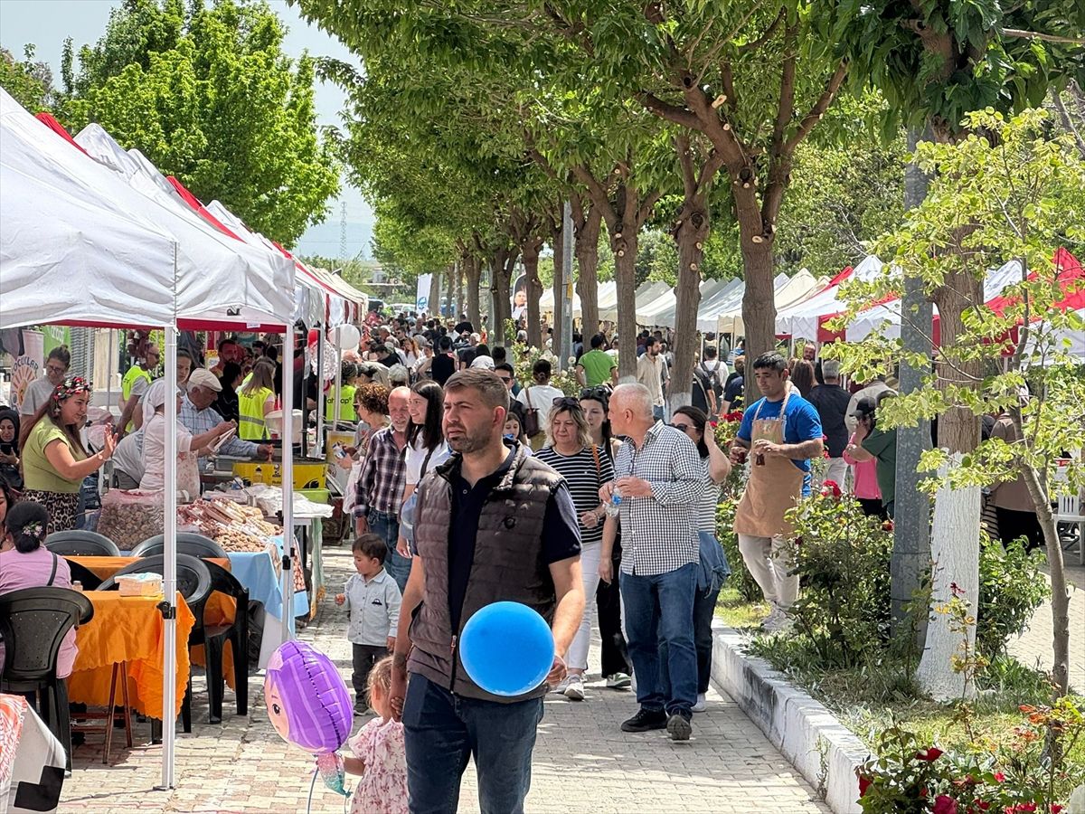 Söke'de Priene Kültür Festivali başladı